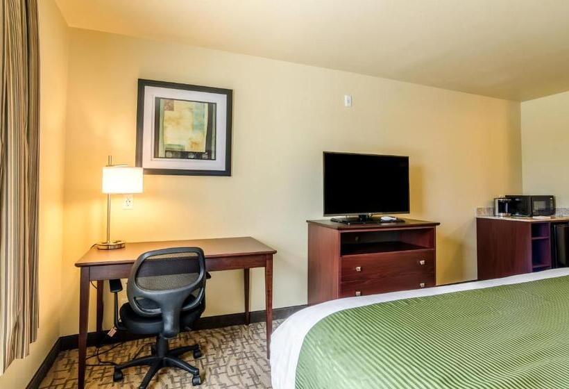 스위트 킹사이즈 침대, Cobblestone Inn & Suites  Oberlin