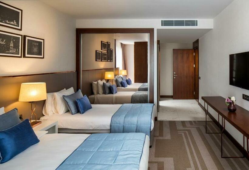 غرفة ديلوكس, Lionel Hotel Istanbul