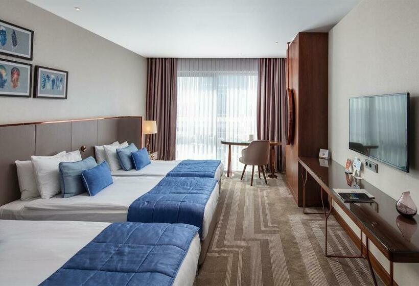 غرفة ديلوكس, Lionel Hotel Istanbul