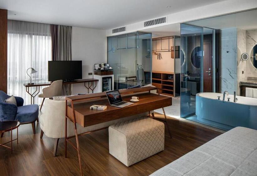 جناح ذو إطلالة, Lionel Hotel Istanbul