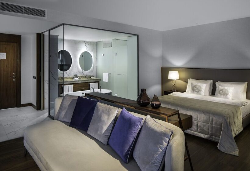 جناح ذو إطلالة, Lionel Hotel Istanbul