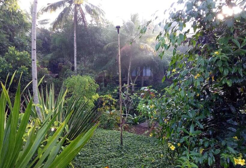 Люкс Вид на Реку, Mi Casa   The Gem Of Ijen
