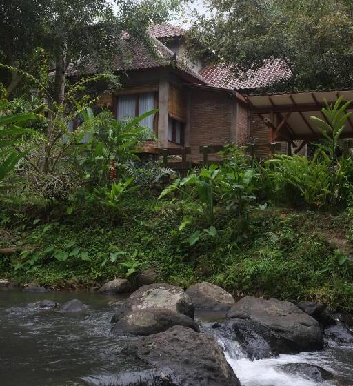 Люкс Вид на Реку, Mi Casa   The Gem Of Ijen
