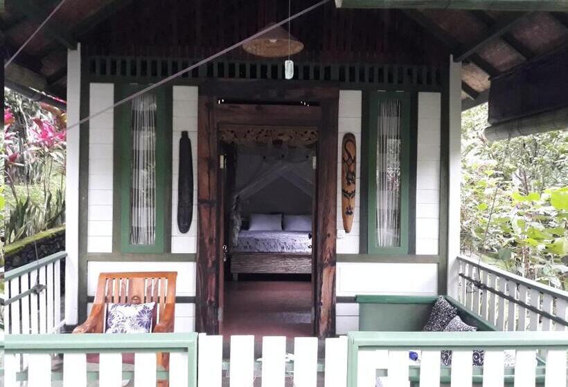 Бунгало Стандарт, Mi Casa   The Gem Of Ijen