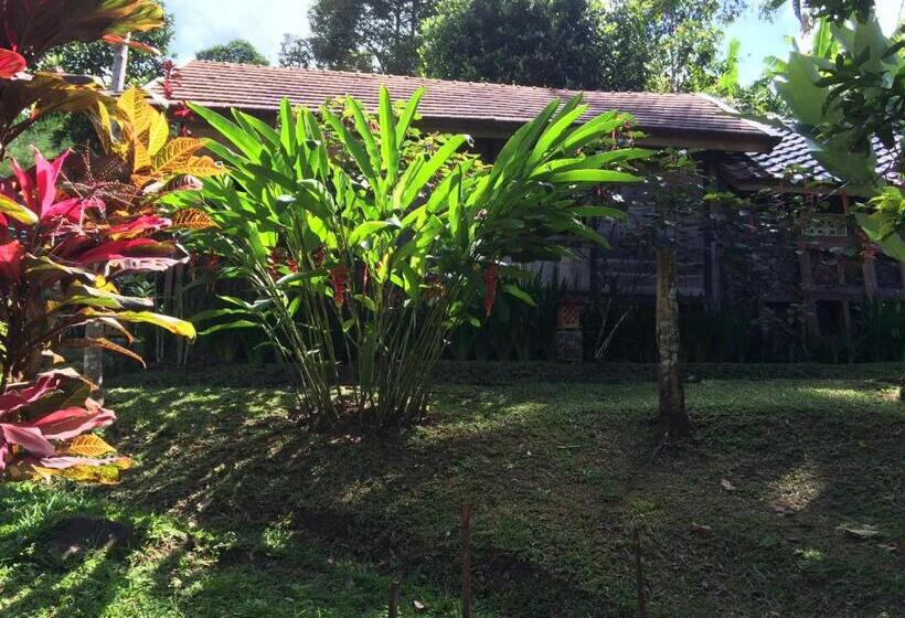 Бунгало Стандарт, Mi Casa   The Gem Of Ijen