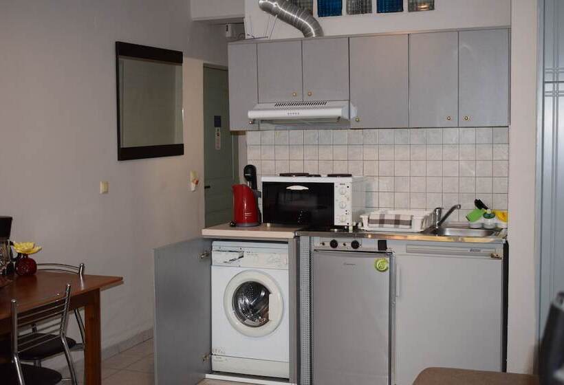 带城市景观带一个卧室的公寓, Alena Apartments