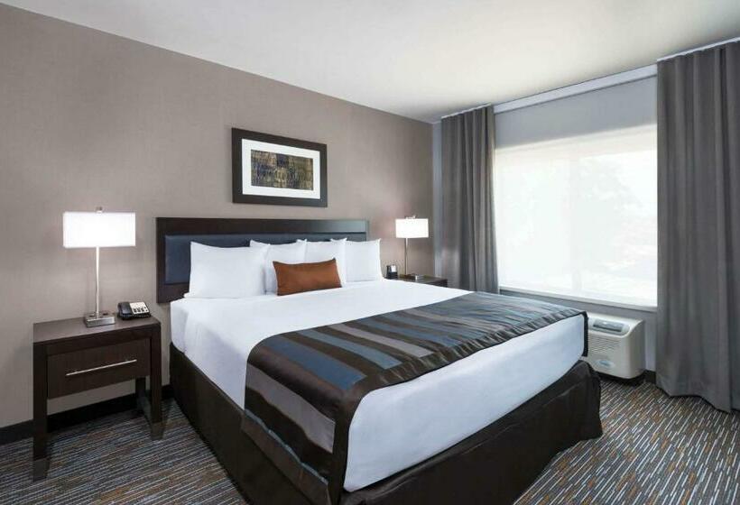 장애인을 위한 킹사이즈 침대 스탠다드 룸, Wingate By Wyndham Sidney