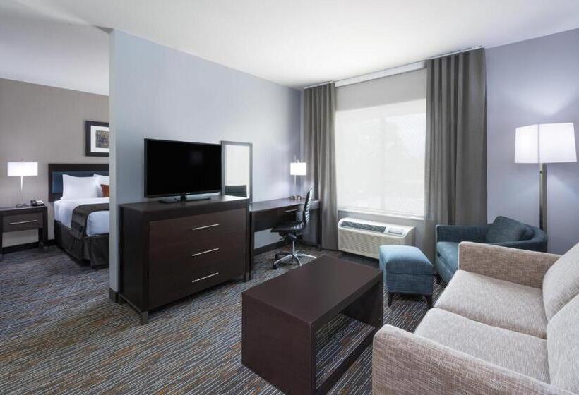 스위트 킹사이즈 침대, Wingate By Wyndham Sidney