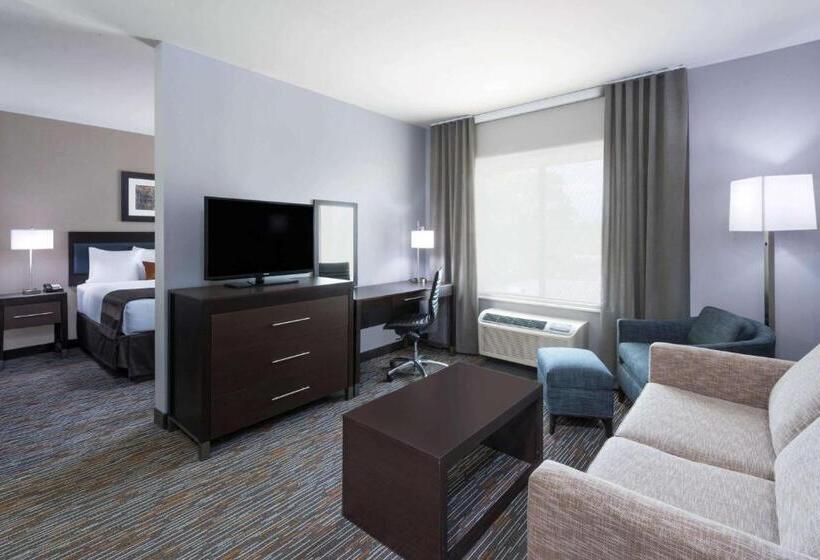 스위트 킹사이즈 침대, Wingate By Wyndham Sidney