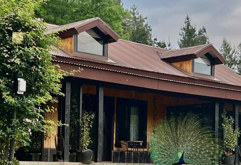 Номер Deluxe, Malachite Manor