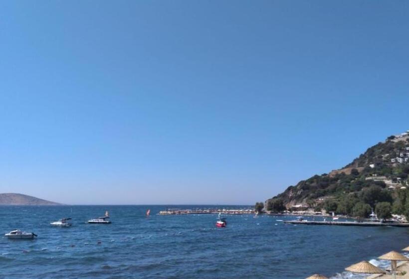 Номер Стандарт Вид на Море с Балконом, Misket