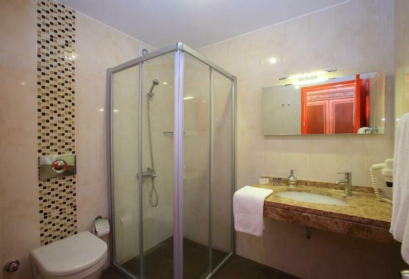 اتاق استاندارد سه نفره, Catamaran