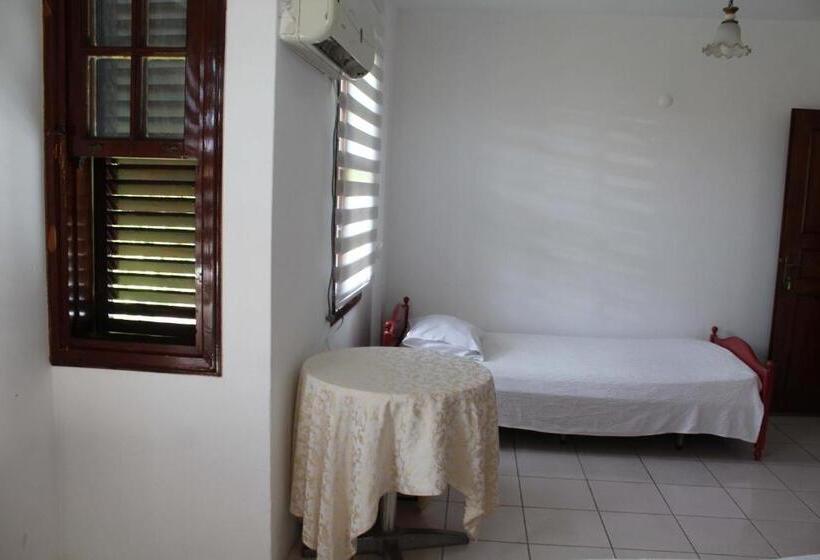 اتاق استاندارد یک نفره, White City Pension