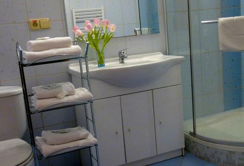 Номер Стандарт с Балконом, Family Hotel Maxim