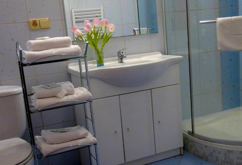 Четырехместный Номер Стандарт, Family Hotel Maxim