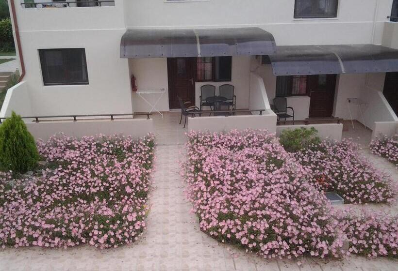 Apartamento Superior 1 Dormitório, Amari