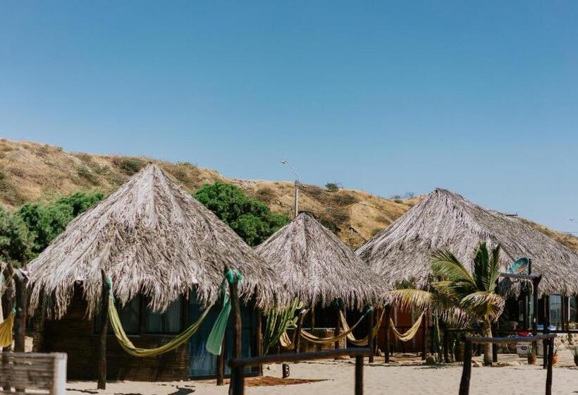Номер Стандарт, Waltako Beach Culture