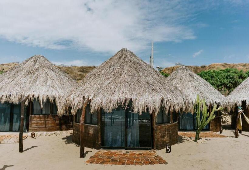 Номер Стандарт, Waltako Beach Culture