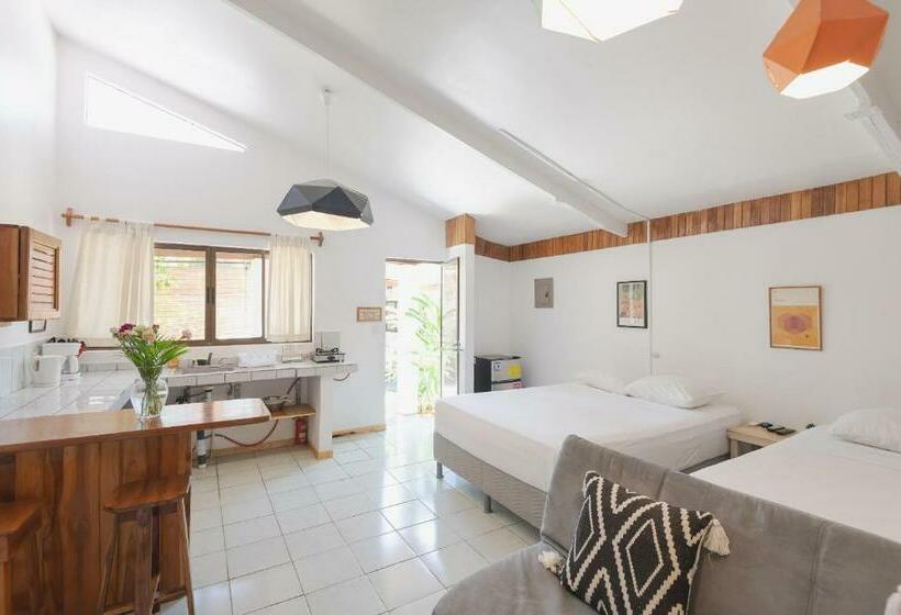 Студия Стандарт, Maoritsio Garden Studios