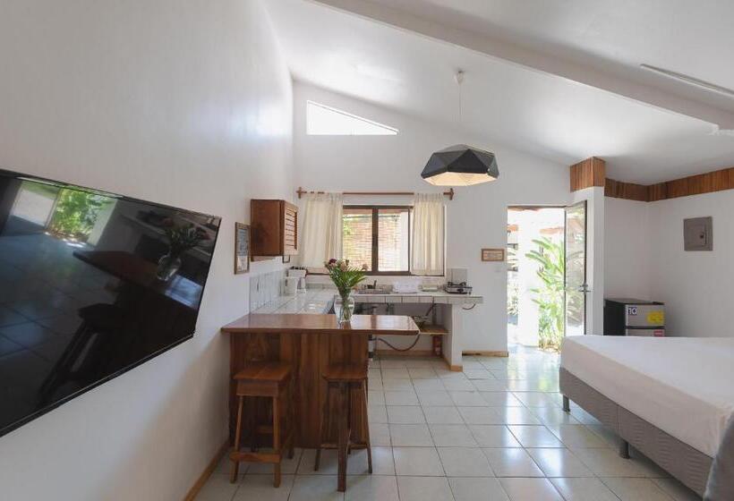Студия Стандарт, Maoritsio Garden Studios