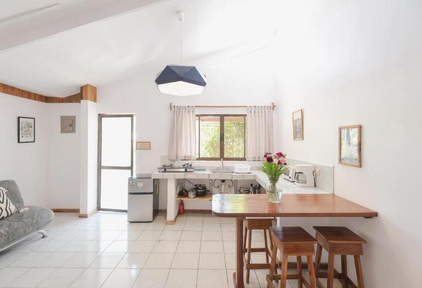 Номер Стандарт, Maoritsio Garden Studios