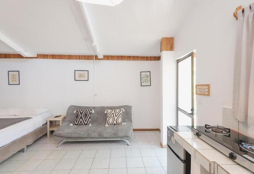 Номер Стандарт, Maoritsio Garden Studios