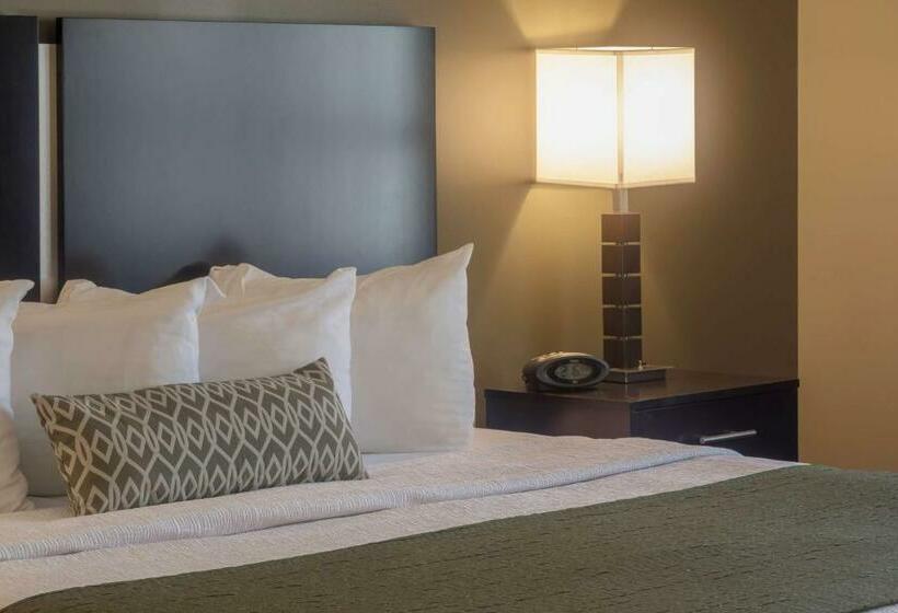 스탠다드 룸 킹사이즈 침대, Best Western Plus Franciscan Square Inn & Suites  Steubenville