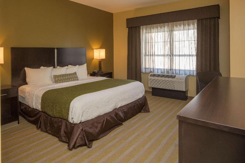 장애인을 위한 킹사이즈 침대 스탠다드 룸, Best Western Plus Franciscan Square Inn & Suites  Steubenville