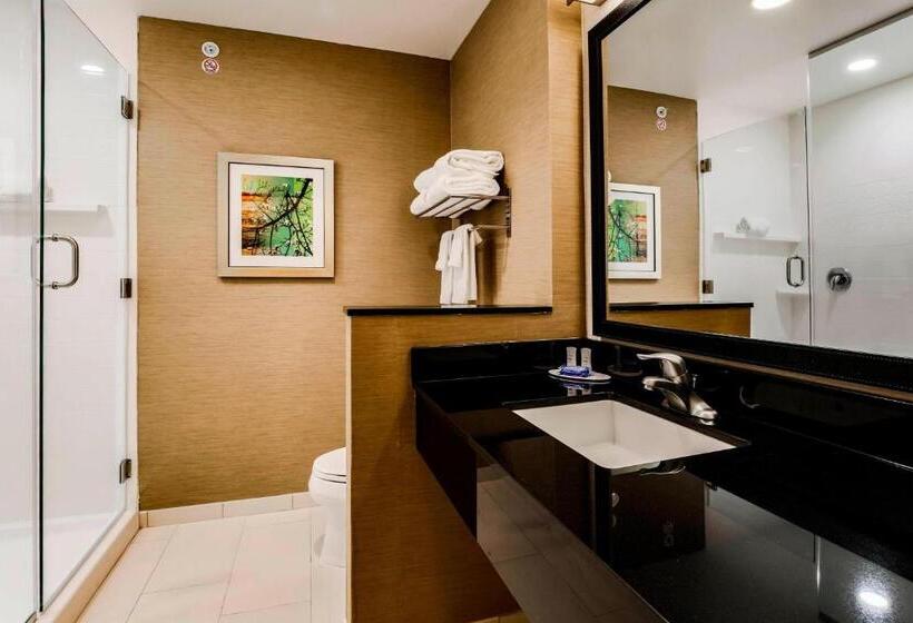 Люкс Кровать Кинг, Fairfield Inn & Suites By Marriott Pecos