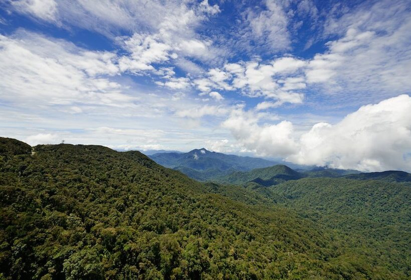 سوییت, Grand Ion Delemen