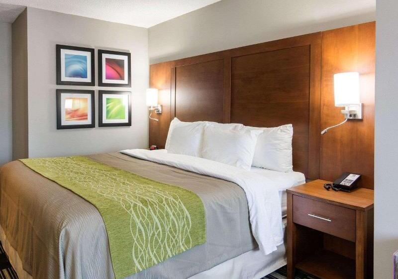 Номер Стандарт, Hilton Garden Inn Foxborough Patriot Place