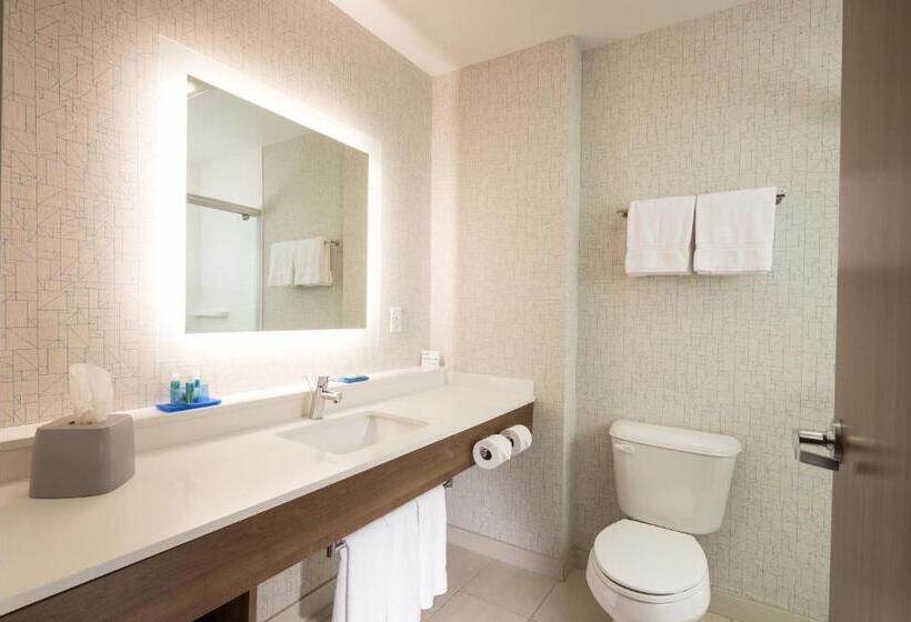 Люкс Superior, Holiday Inn Express & Suites La Porte, An Ihg