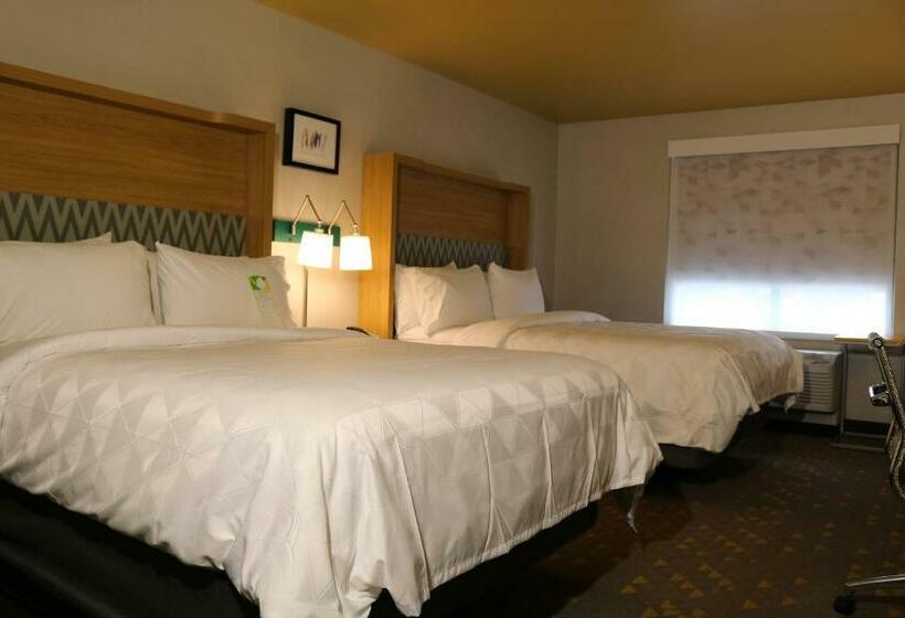 适合残疾人使用的标准间, Holiday Inn   Jonesboro, An Ihg