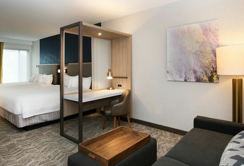 Люкс, Springhill Suites By Marriott Seattle Issaquah