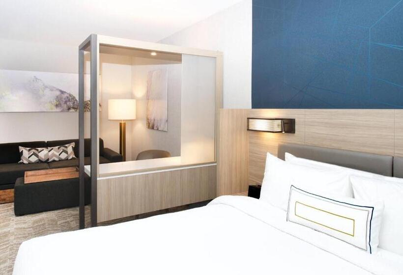 Люкс, Springhill Suites By Marriott Seattle Issaquah
