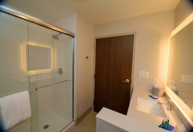 스탠다드 룸 킹사이즈 침대, Holiday Inn Express & Suites Mckinney   Frisco East, An Ihg
