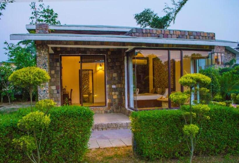 1间卧室的房子, The Roar Resort