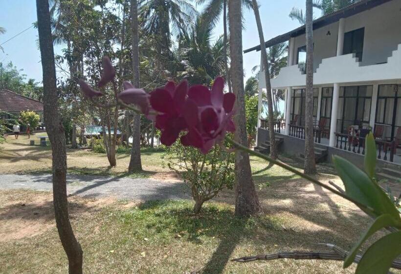 Номер Стандарт, Beach Front Pool Resort