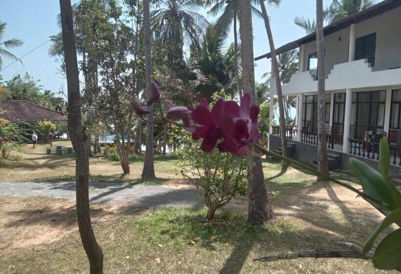 Номер Deluxe, Beach Front Pool Resort