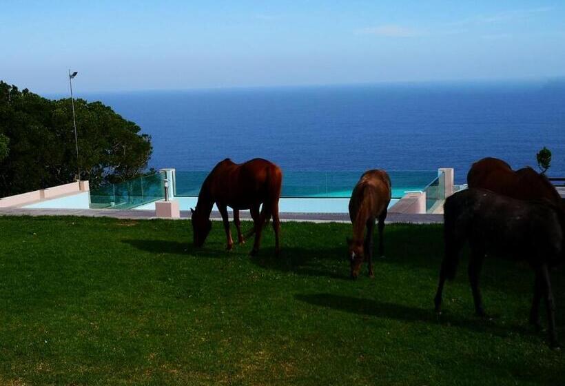 패밀리 스위트, Tsitsikamma On Sea Resort