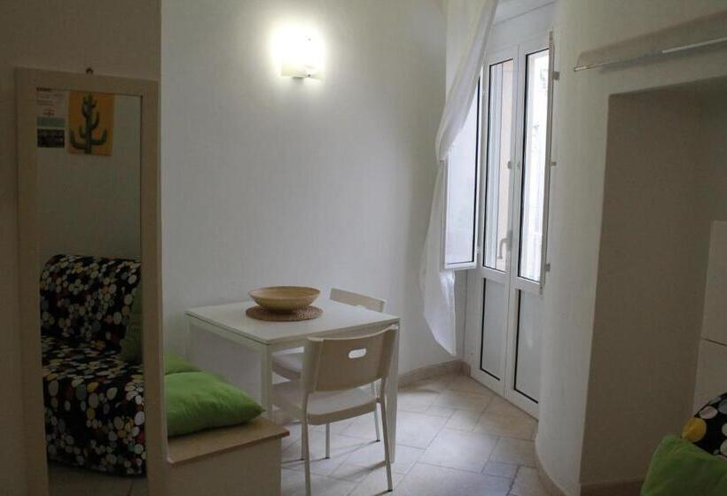 Quarto Estandar, Mamma Maria 2010