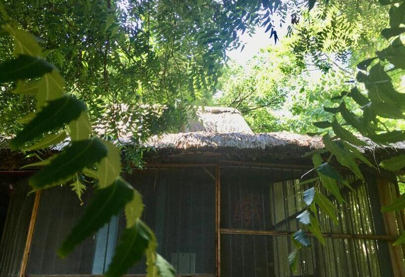 آپارتمان 1 خوابه, Casa Gulf Zipolite
