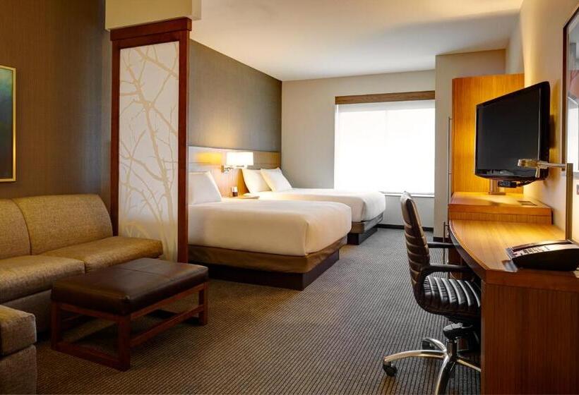 Номер Стандарт Верхний Этаж, Hyatt Place West Des Moines/jordan Creek