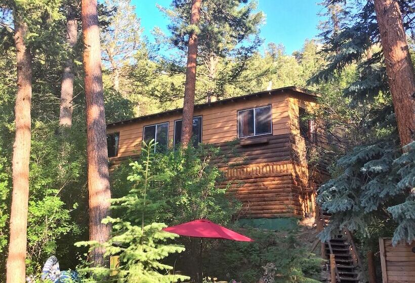 스탠다드 룸, Pine Haven Resort