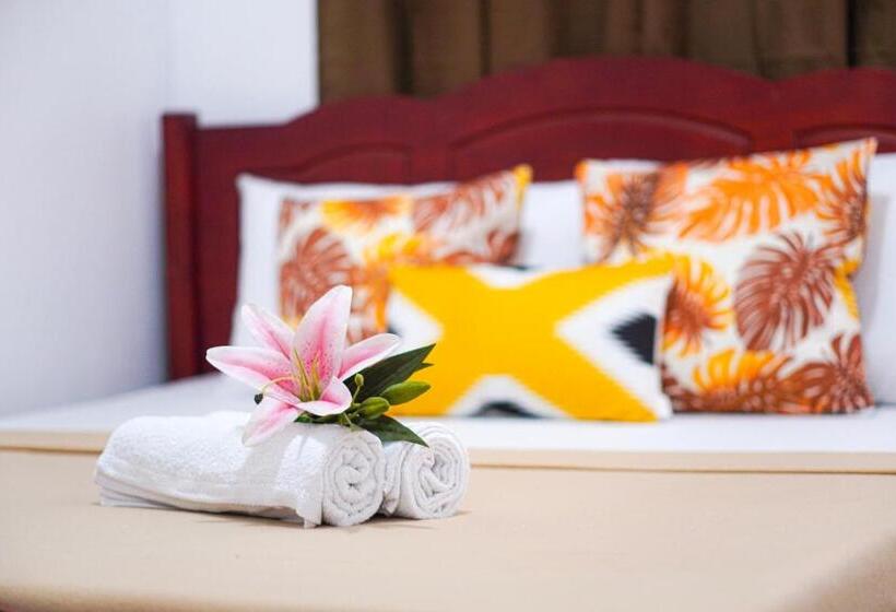 スタンダードルーム, Amparo S Tourist Inn   Coron