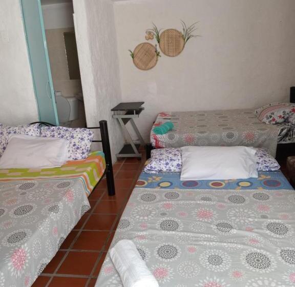 Номер Стандарт, Hostal Rolled