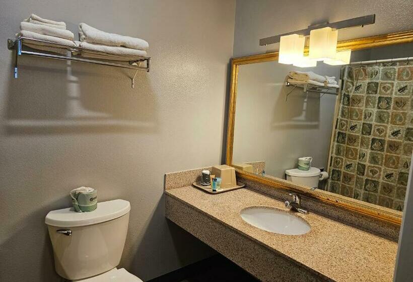 חדר סטנדרט, Cle Elum Travelers Inn