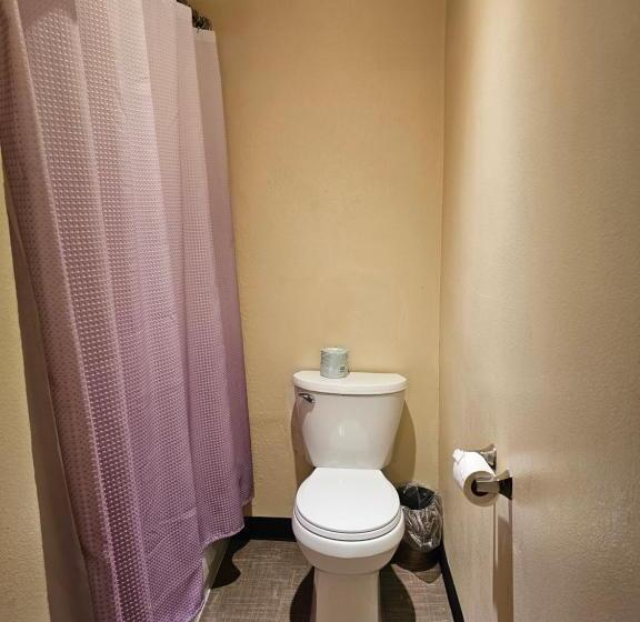 חדר סטנדרט, Cle Elum Travelers Inn