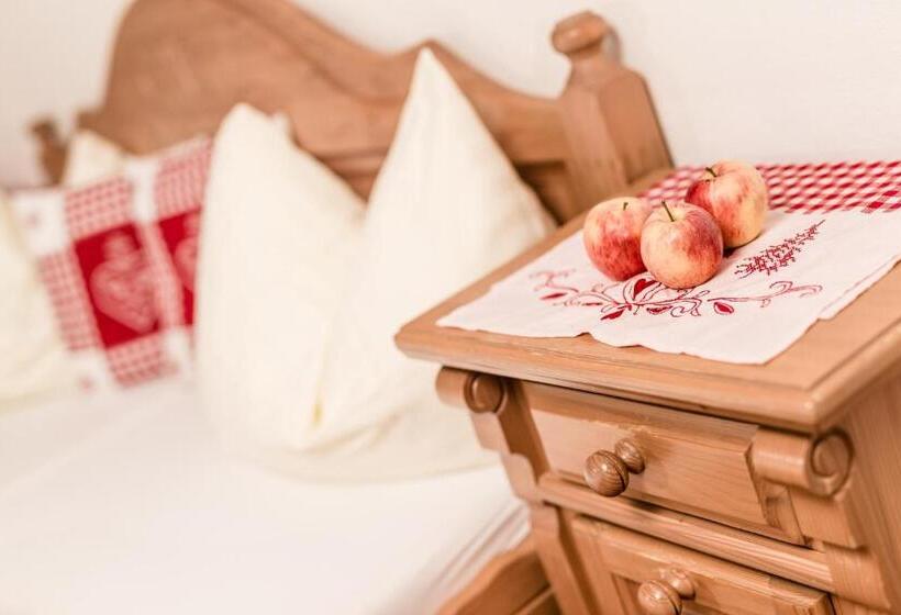 Трежместный Номер Economy, Standlhof Zillertal