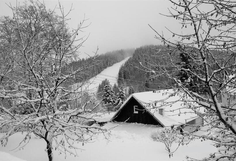 Вилла 1 Спальня, Penzion Pod Kostelem